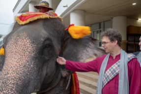 Professor Scherer with one of the elephants at the opening of the forum